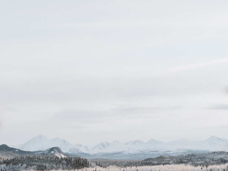 В НАО растолковали нюансы переоценки кадастровой стоимости