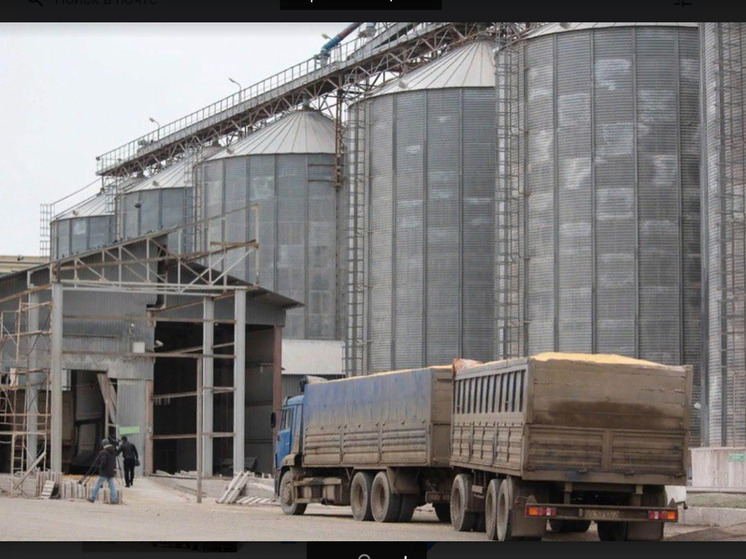 Дагестан гарантирует безопасность зерновых: 32 тыс. тонн под контролем