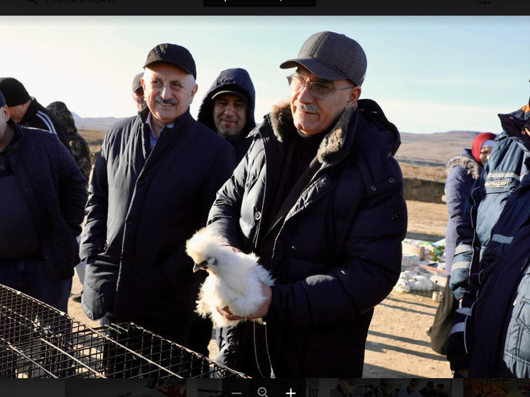 Дагестан усиливает контроль: проверка скотного рынка в Манасе