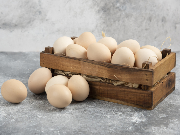 Дагестан сократил производство куриных яиц в 2023 году