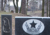 Следственный комитет проведет проверку по факту сноса памятника советским солдатам в Молдавии
