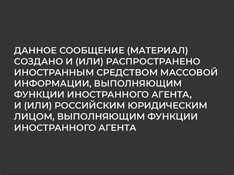 Володин: Госдума запретит иноагентам размещать рекламу российских компаний