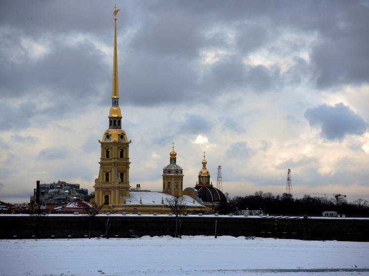 В Петербурге предотвратили теракт на металлургическом заводе