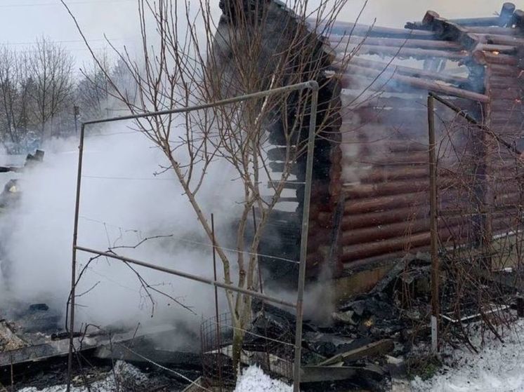 Супруга участника СВО рассказала о поджоге дома под Истрой