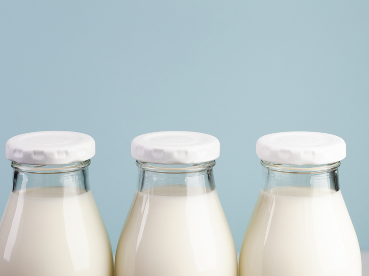 Красноярцы выбрали лучшего производителя молока