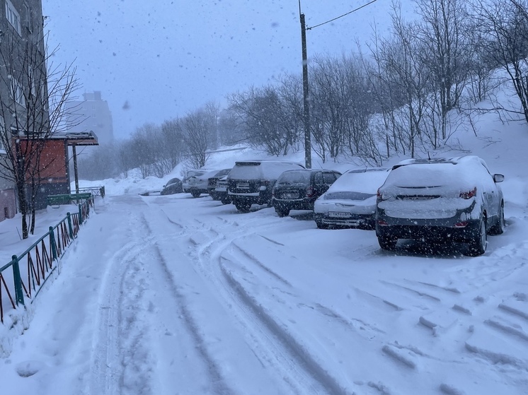 Снежный гайд: заполярным автолюбителям рассказали, как вести себя в морозы