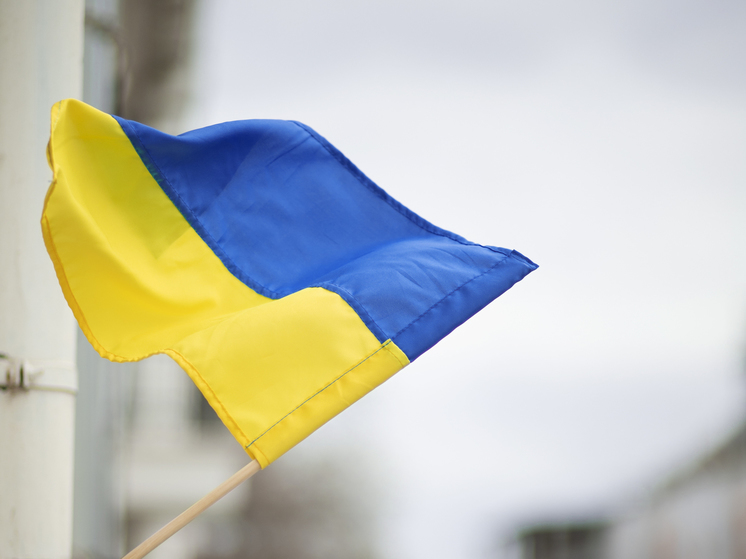 Правительство Украины уволило Павлюка с должности первого замминистра обороны