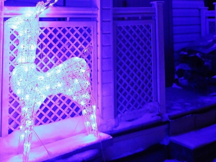 В Новгородской области молодой человек выстрелил в дверь отдела полиции