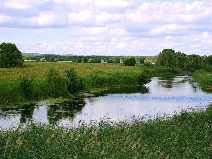 Гладков: ВСУ не менее 20 раз за сутки обстреляли Белгородскую область