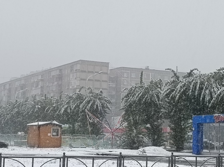 Свердловчан предупредили о порывистом ветре 12 февраля