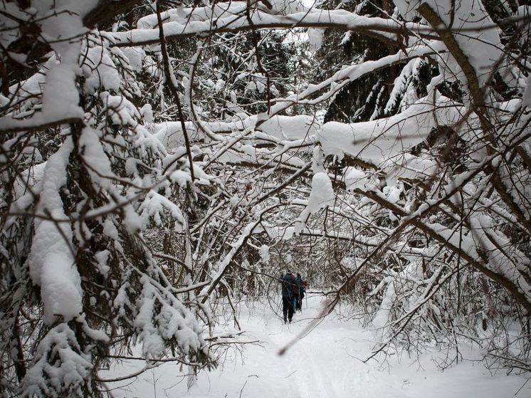 Синоптик Евгений Тишковец дал прогноз погоды на неделю