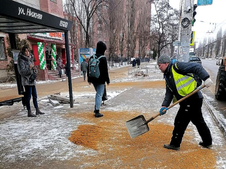 Воронежский коммунальщики продолжают вести круглосуточную войну с гололедом