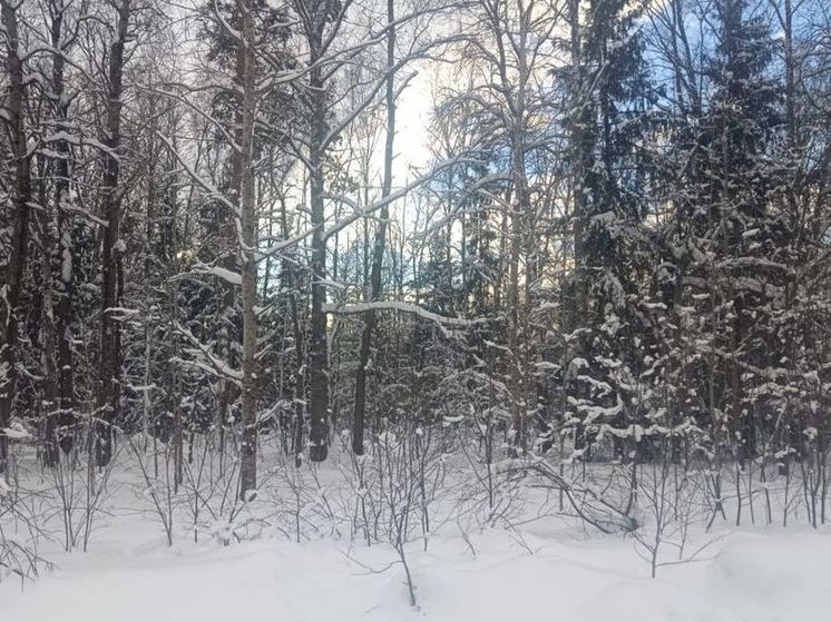 На понедельник объявлен «оранжевый» уровень погодной опасности