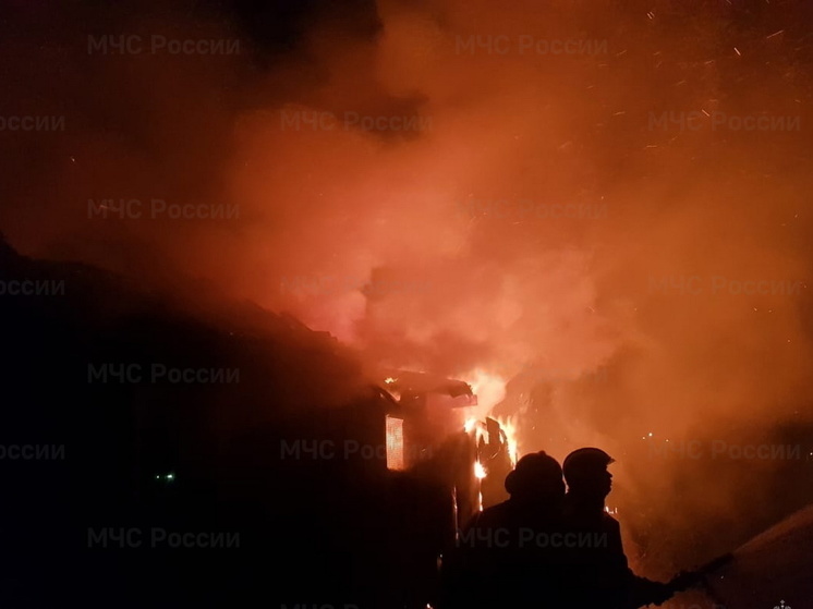 В деревне Лисино Волосовского района в ночь на 11 февраля горел частный дом