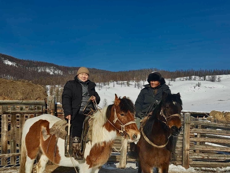 Зимовка скота в Тере-Хольском районе: зима трудная, но падежа нет