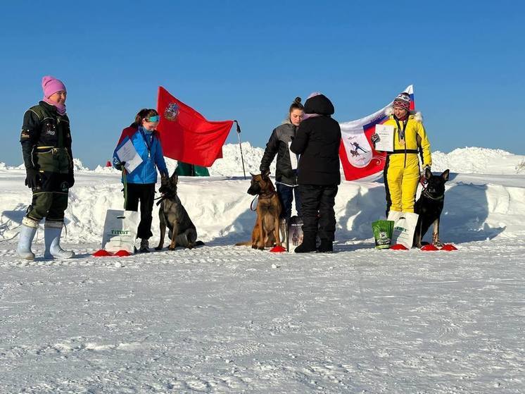 Кинологи из Серпухова выступят на чемпионате России