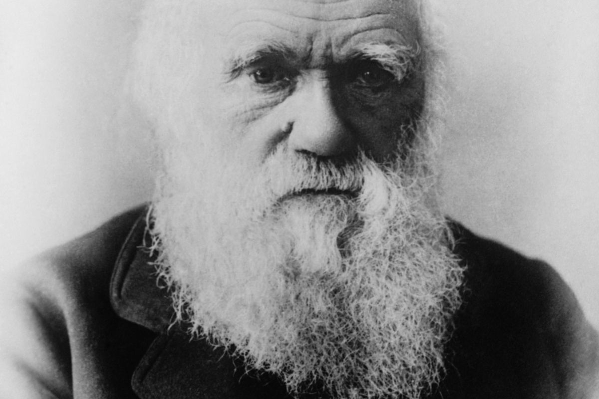 Contents of Charles Darwin's entire personal library revealed for the first time