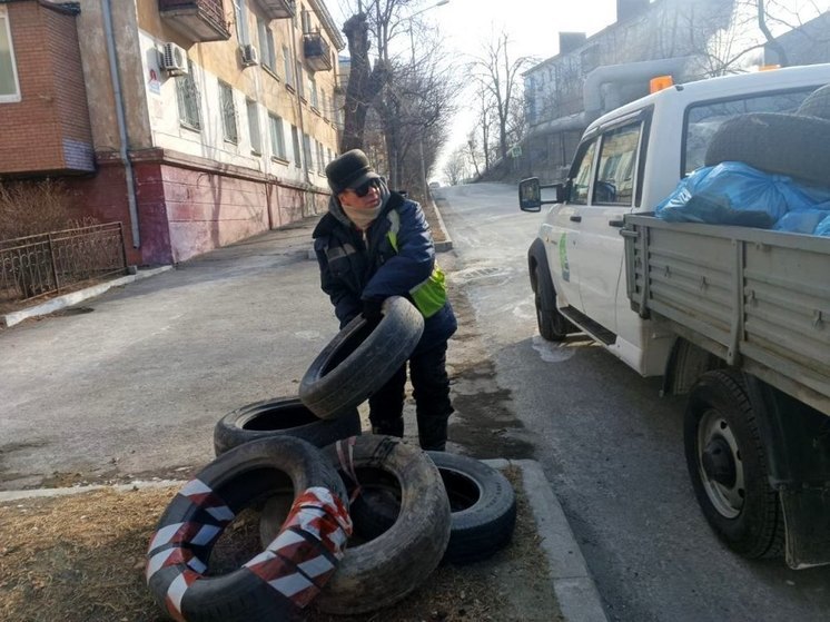 Владивосток очищают от свалок шин
