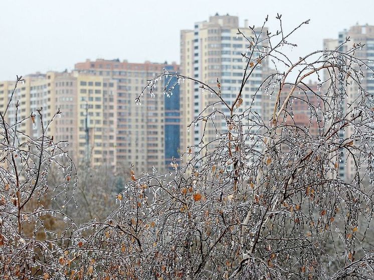 Из-за ледяного дождя и гололедицы в Москве и Подмосковье объявили метеопредупреждение