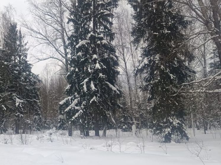 Синоптик сообщил: ледяные дожди добрались до Подмосковья