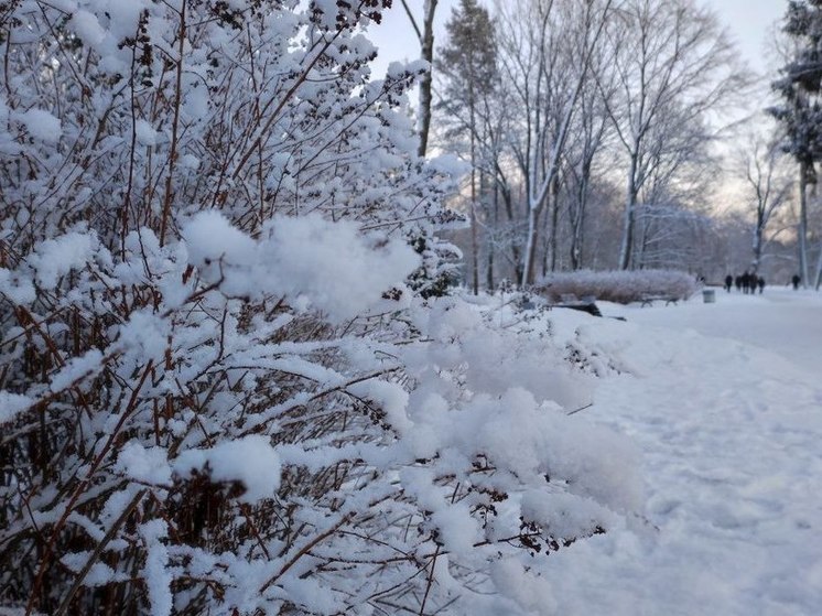 Жителям Ленобласти пообещали снег и до -10 градусов 12 февраля