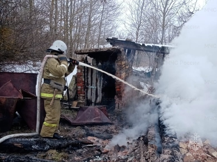 Добровольцы помогли орловским спасателям справиться с огненной стихией