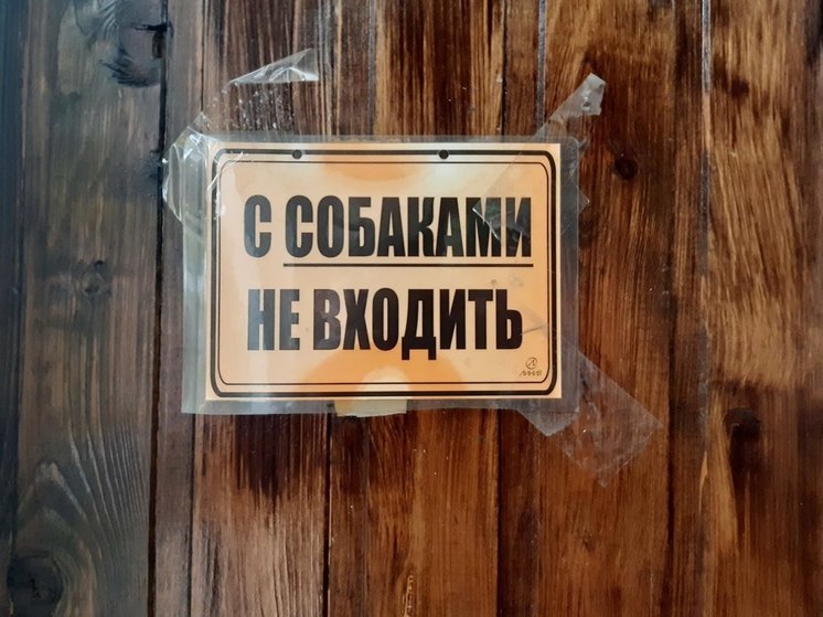 Житель деревни Светлое Приозерского района выстрелил в собаку соседа