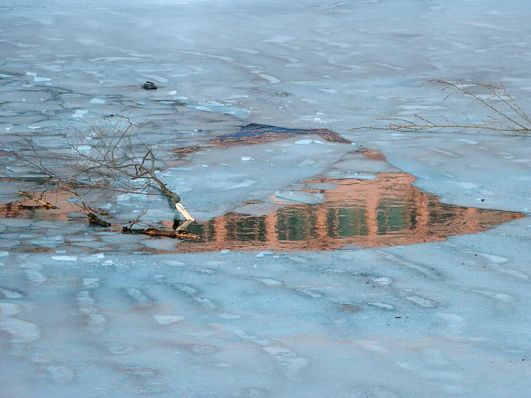 Пожилой житель Орехово-Зуевского городского округа Подмосковья погиб в субботу, провалившись под лед на своем земельном участке.