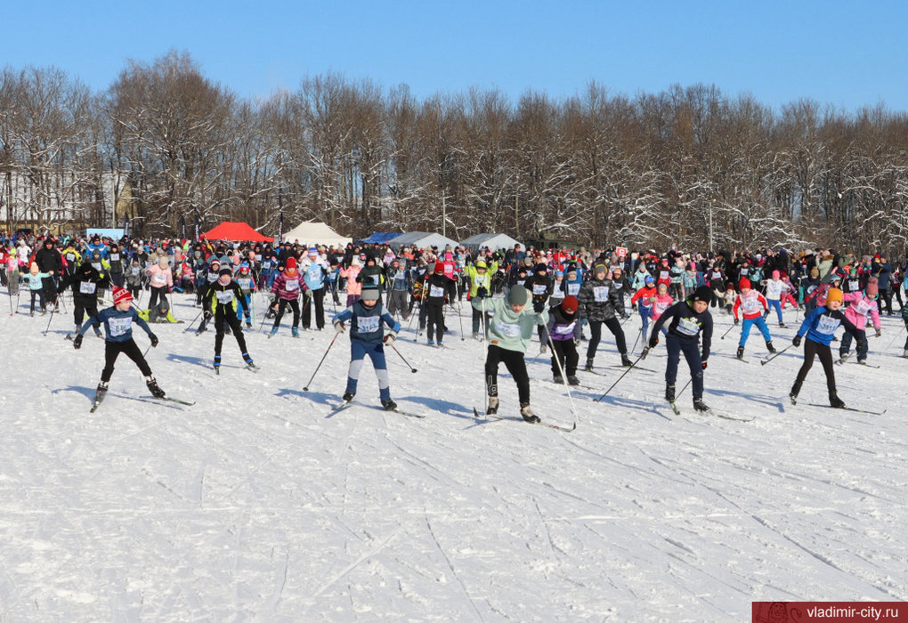 4,500 people took part in the Vladimir Ski Track of Russia-2024