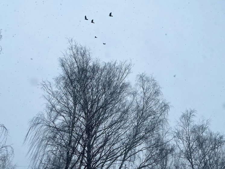 Погода в Тверской области на неделе: холода и гололедица