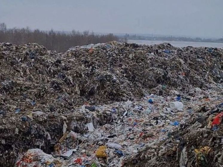 Объявлен новый тендер на охрану полигона в Зеленино под Рязанью
