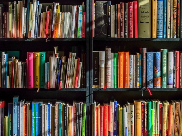 Жителям Ханты-Мансийска предлагают стать дарителями книг