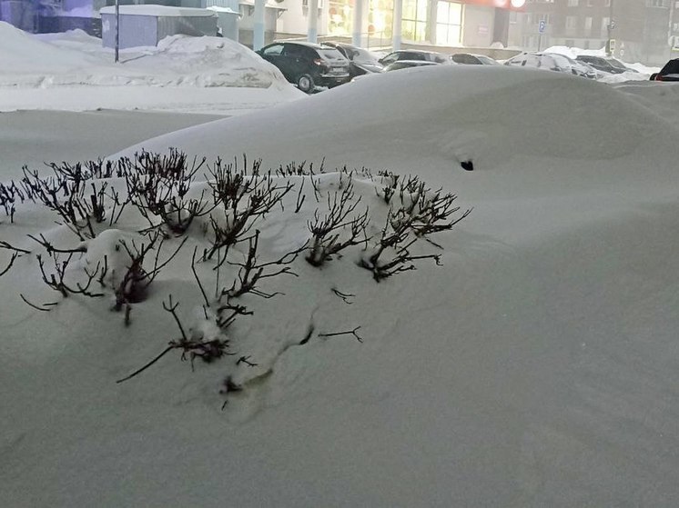 Чебоксары попали в двадцатку рейтинга самых снежных городов