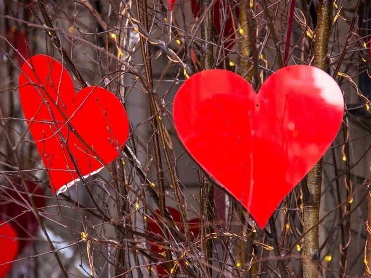  В Туле свидание на День святого Валентина подорожало на 7%