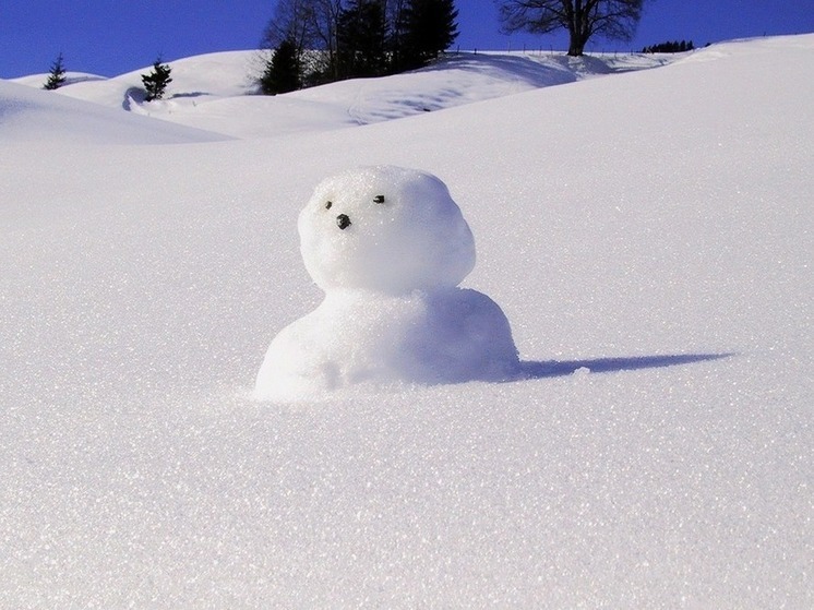 В алтайском селе подростки слепили непристойную снежную фигуру около мемориала