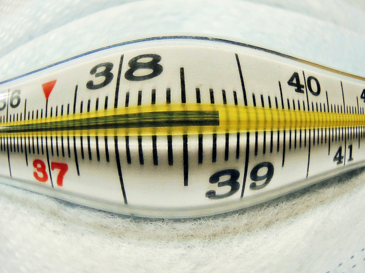 В Люберцах к ребенку не пришел врач, лечение назначили по телефону