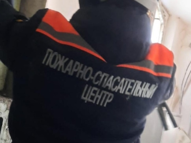В минувшие выходные пензенцам дважды потребовалась помощь спасателей