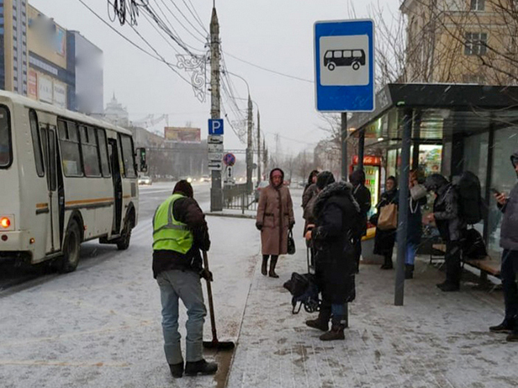 В Рамонском районе под Воронежем возобновили работу автобусных маршрутов