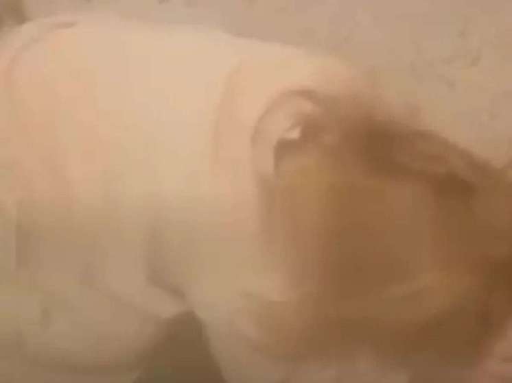 В Ростовской области отчим записал на видео, как издевается над падчерицей