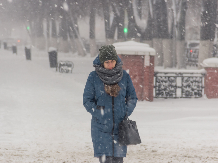 МЧС: В Рязанской области ожидается туман, мокрый снег и ледяной дождь