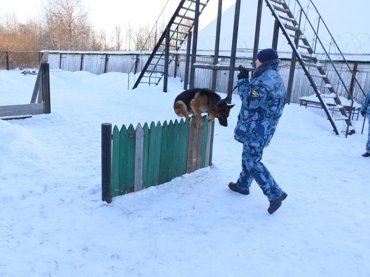 Для семей участников СВО провели экскурсию по кинологическому городку