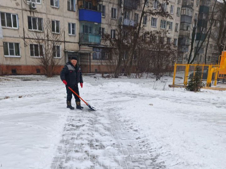 В Курске за неделю выявили 88 нарушений в состоянии дворов и площадок для мусора