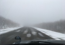 По данным ГИБДД Хабаровского края, в понедельник, 12 февраля, на дорогах региона произошло 583 нарушения правил дорожного движения