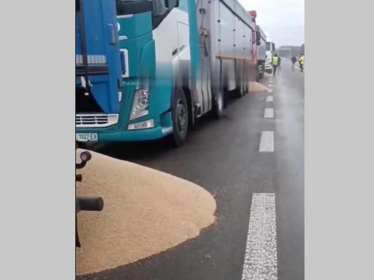  Киев обвинил польских фермеров в уничтожении зерна на границе