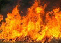 Грузовик загорелся в Змеиногорске 12 февраля. Об этом сообщает региональное ГУ МЧС.