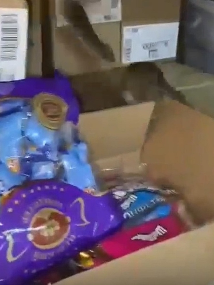 Бегающих по конфетам крыс сняли на видео в «Светофоре» Салехарда