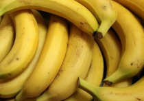 Прежние хозяева фруктовой фирмы Chiquita Brands International, с 1991 года занимавшей часть российского рынка по продаже бананов из Эквадора, когда-то на протяжении 38 лет выдавали «премии» директору ЦРУ Аллену Даллесу и его брату, госсекретарю США Джону Даллесу