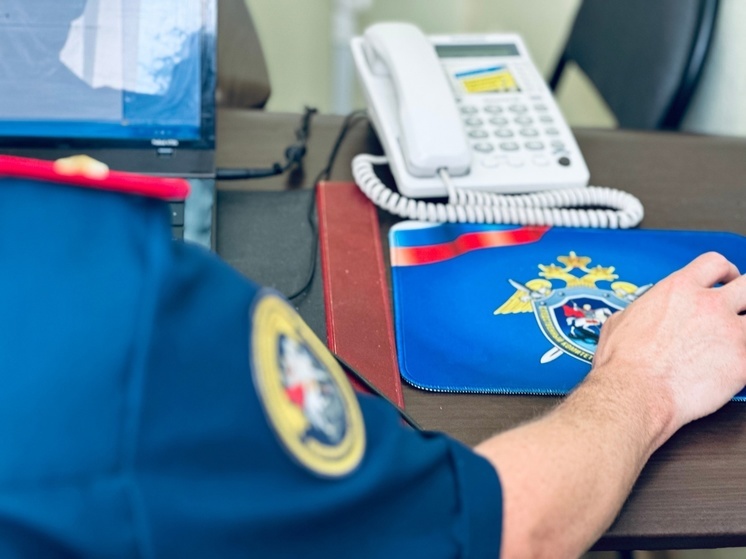 Бастрыкин взял на контроль ситуацию с нарушением прав жильцов дома в Боровичах