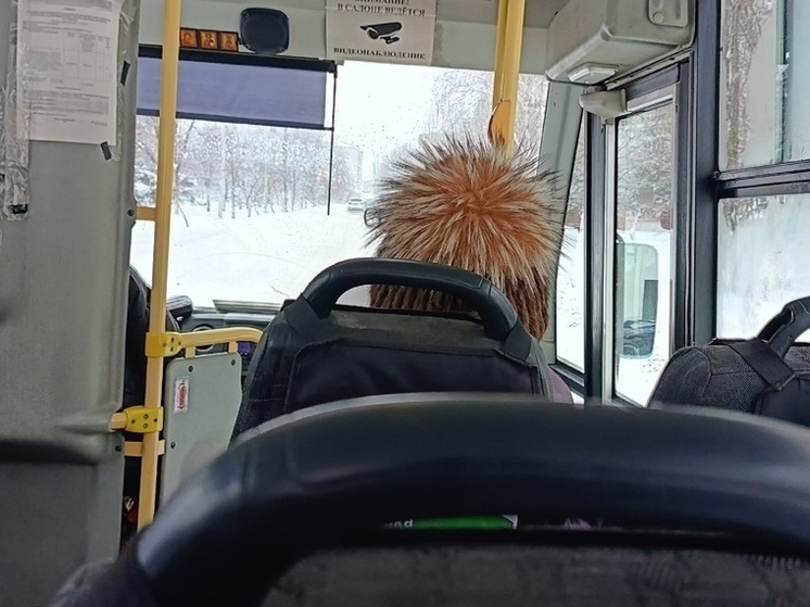 В ДНР возобновили движение автобуса между Харцызском и Пролетарским