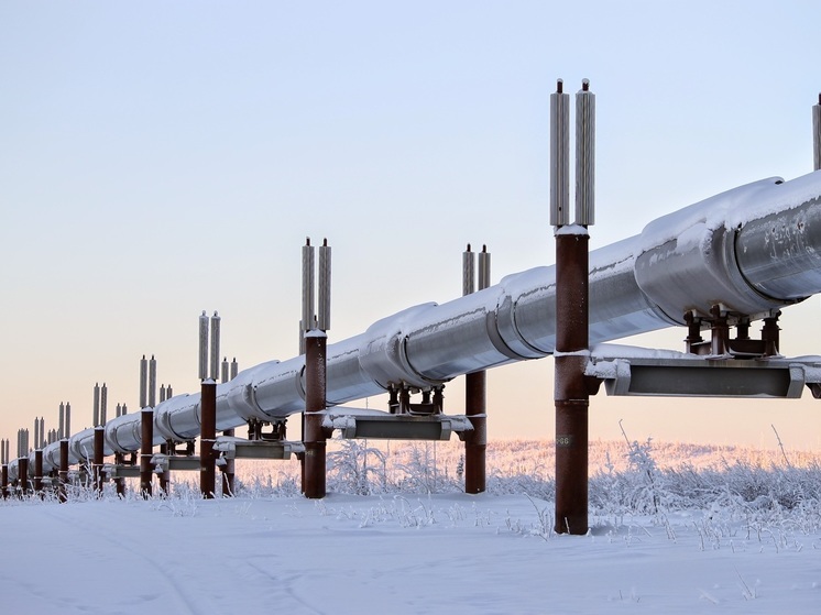 В Ленобласти задержали иностранца, пытавшегося взорвать газопровод